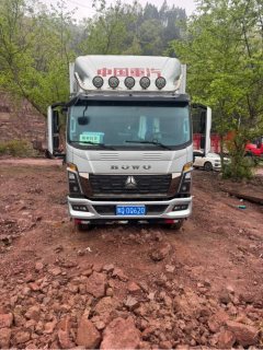 SINOTRUK HOWO Light Duty Truck Commander 180 hp 4X2 3.85 m - фото 2