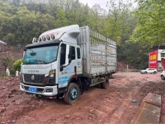 SINOTRUK HOWO Light Duty Truck Commander 180 hp 4X2 3.85 m - фото 3