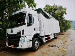 Dongfeng Liuzhou Chenglong H5 260 hp 4X2 9.7 m - фото 1