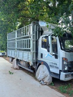 SINOTRUK HOWO Light Duty Truck Commander 156 hp 4X2 4.2 m - фото 1