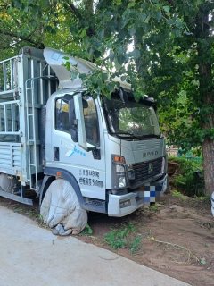 SINOTRUK HOWO Light Duty Truck Commander 156 hp 4X2 4.2 m - фото 2