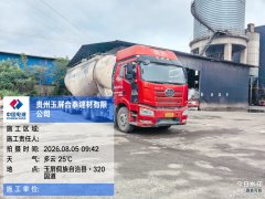 FAW Jiefang J6P 460 hp 6X4 - фото 3