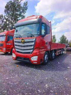 Foton Auman EST 490 hp 8X4 9.53 m - фото 1