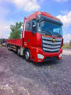 Foton Auman EST 490 hp 8X4 9.53 m - фото 8