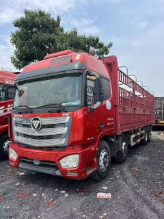 Foton Auman EST 460 hp 8X4 9.45 m - фото 1