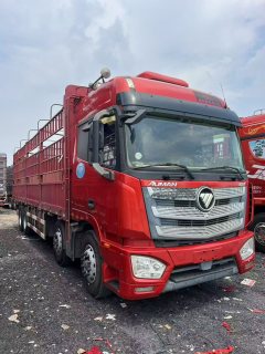 Foton Auman EST 460 hp 8X4 9.45 m - фото 4