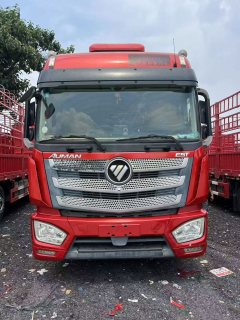 Foton Auman EST 460 hp 8X4 9.45 m - фото 9