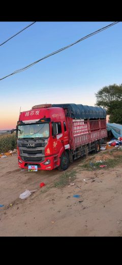 JAC Gallop Gelfa A5 240 hp 4X2 6.8 m - фото 1