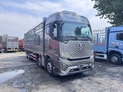 Foton Auman 520 hp 8X4 9.56 m - фото 3