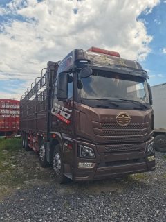 FAW Jiefang JH6 460 hp 8X4 9.5 m - фото 3