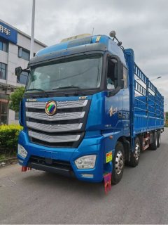 Foton Auman EST 430 hp 8X4 9.45 m - фото 1