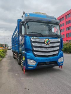 Foton Auman EST 430 hp 8X4 9.45 m - фото 2