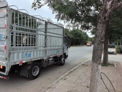 SINOTRUK HOWO Light Duty Truck PRO 180 hp 4X2 4.15 m - фото 5