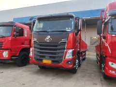 Dongfeng Liuzhou Chenglong H7 460 hp 8X4 9.6 m - фото 1