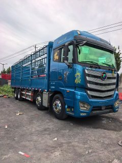 Foton Auman EST 490 hp 8X4 9.56 m - фото 5