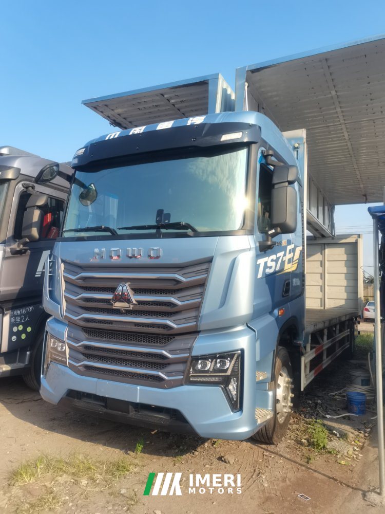 Sinotruk HOWO TS7 290 hp 4X2 9.6 m - грузовик из Китая