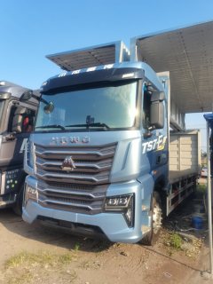 Sinotruk HOWO TS7 290 hp 4X2 9.6 m - фото 1