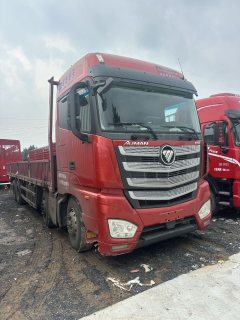 Foton Auman EST 490 hp 8X4 9.53 m - фото 7