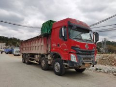 Dongfeng Liuzhou Chenglong H7 520 hp 8X4 8.2 m - фото 1