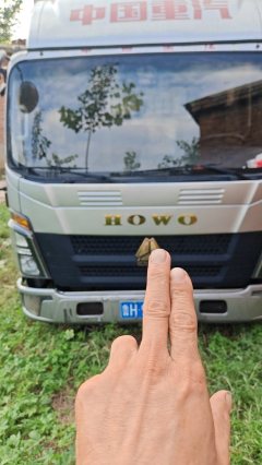 SINOTRUK HOWO Light Duty Truck M 155 hp 4X2 3.3 m - фото 1
