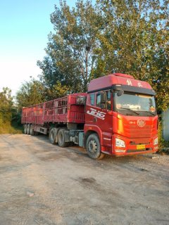 FAW Jiefang JH6 460 hp 6X4 - фото 3