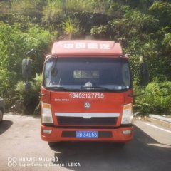 SINOTRUK HOWO Light Duty Truck Dream Chaser 130 hp 4X2 3.85 m - фото 1