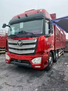Foton Auman EST 320 hp 6X2 9.56 m - фото 1