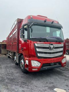 Foton Auman EST 320 hp 6X2 9.56 m - фото 9