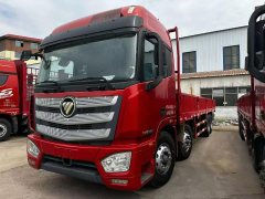 Foton Auman EST 460 hp 8X4 9.45 m - фото 1