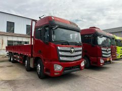 Foton Auman EST 460 hp 8X4 9.45 m - фото 2
