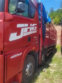 FAW Jiefang JH6 460 hp 8X4 9.6 m - фото 9