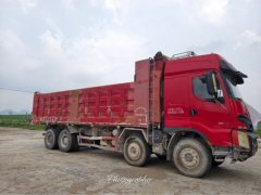Dongfeng Liuzhou Chenglong H7 520 hp 8X4 8.6 m - фото 1