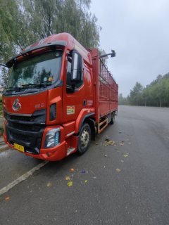 Dongfeng Liuzhou Chenglong H5 260 hp 4X2 6.8 m - фото 1
