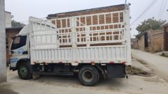 JAC Junling Shunling V6 170 hp 4X2 4.2 m - фото 3