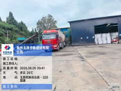 FAW Jiefang J6P 460 hp 6X4 - фото 6