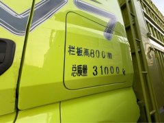 FAW Jiefang J7 460 hp 8X4 9.4 m - фото 6