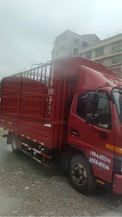 JAC Junling Shunling V6 162 hp 4X2 4.22 m - фото 2