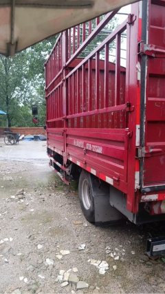 JAC Junling Shunling V6 162 hp 4X2 4.22 m - фото 4