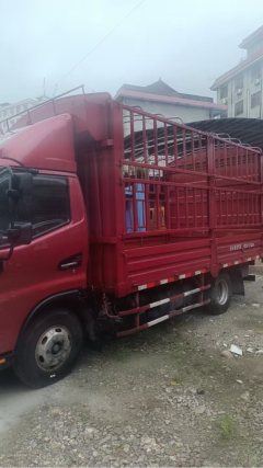JAC Junling Shunling V6 162 hp 4X2 4.22 m - фото 5