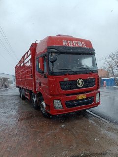 Shacman Delong X3000 375 hp 8X4 9.55 m - фото 1
