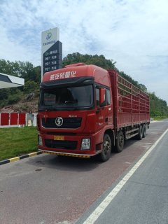 Shacman Delong X3000 375 hp 8X4 9.55 m - фото 2