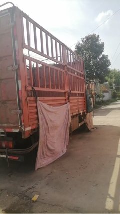 SINOTRUK HOWO Light Duty Truck Royal Faction 160 hp 4X2 4.15 m - фото 2