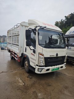 SINOTRUK HOWO Light Duty Truck Hanjiang 4.15 m - фото 1