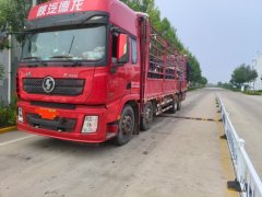 Shacman Delong X3000 430 hp 8X2 9.5 m - фото 1