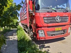 Shacman Delong X3000 430 hp 8X2 9.5 m - фото 2