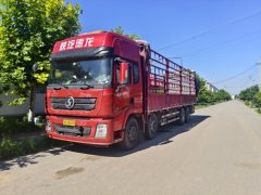 Shacman Delong X3000 430 hp 8X2 9.5 m - фото 3