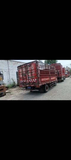 Foton Ollin CTS 146 hp 4X2 4.2 m - фото 3