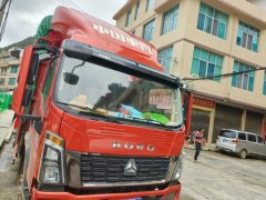 SINOTRUK HOWO Light Duty Truck Commander 160 hp 4X2 4.2 m - фото 1