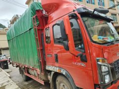 SINOTRUK HOWO Light Duty Truck Commander 160 hp 4X2 4.2 m - фото 2