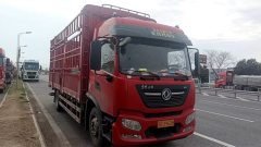 Dongfeng Tianjin KR 240 hp 4X2 6.8 m - фото 1